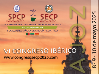 VI Congresso Ibérico